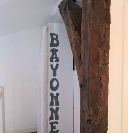 Appart Lumineux Historique De Bayonne Saint-Esprit Buitenkant foto